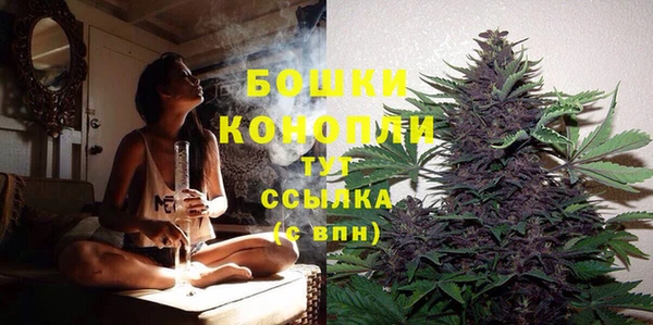 МДМА Новозыбков