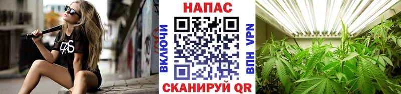 Бошки Шишки марихуана  закладка  Цивильск 